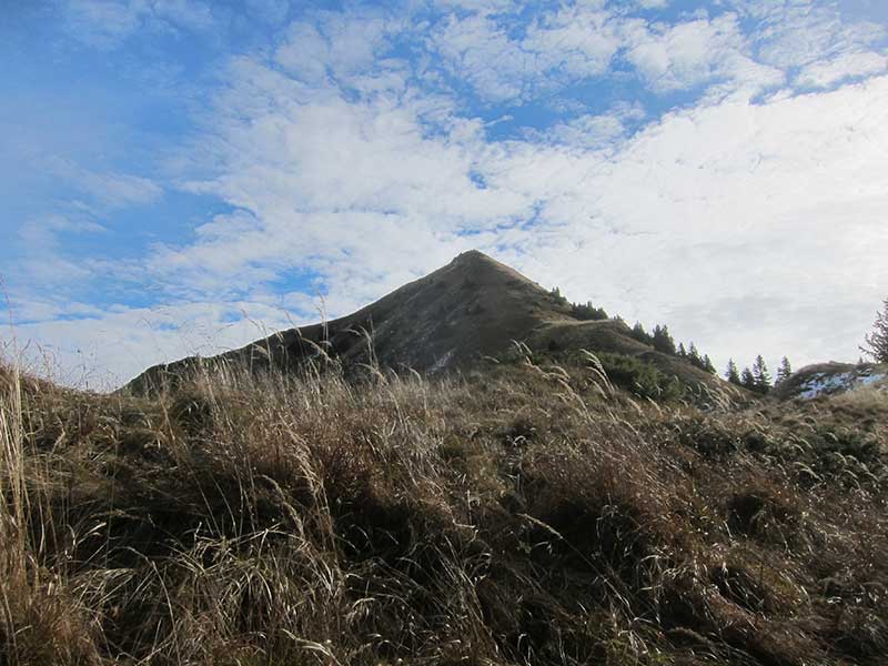 Schuettkogel